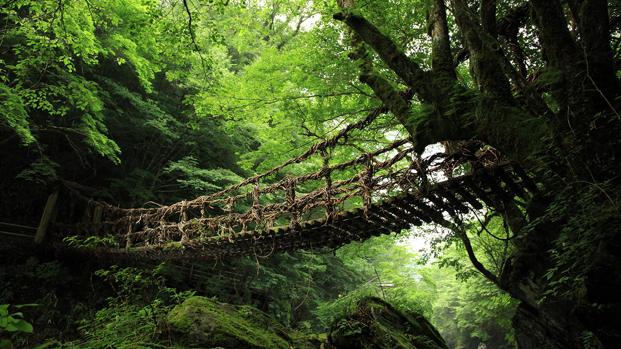 かずら橋