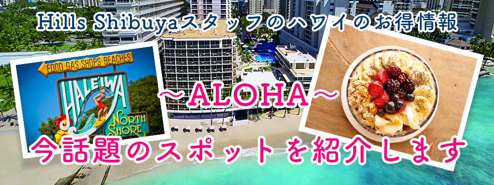 ALOHA～今話題のスポットを紹介します