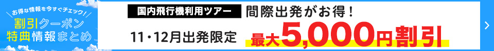 間際がお得！11・12月出発おひとり様最大5,000円割引クーポン 詳しくはこちら