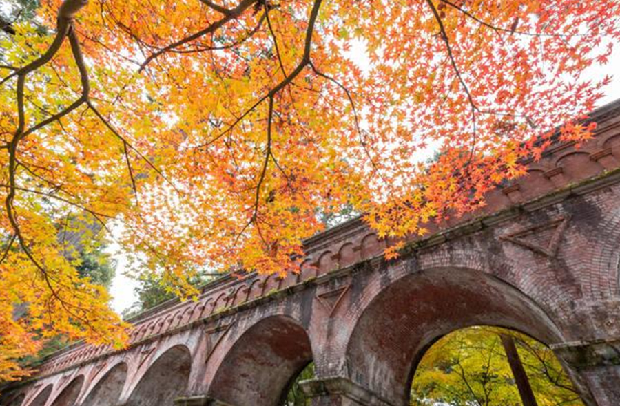 南禅寺 座禅体験・写経体験