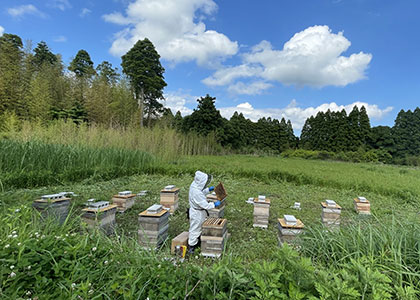 品質へのこだわり（イメージ）