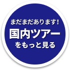 まだまだあります！国内ツアーをもっと見る