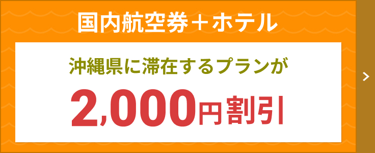 広島 北海道 飛行機 パック 販売