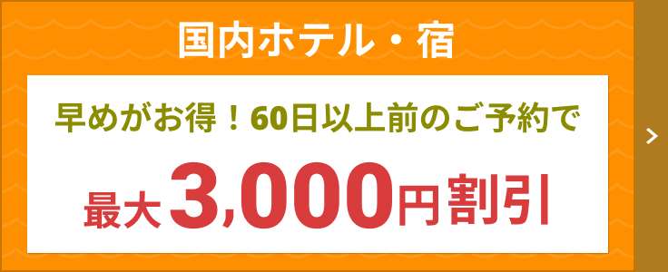 国内 コレクション 宿泊 パック