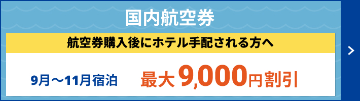 格安航空券・国内線のLCC・飛行機チケット予約【HIS国内航空券予約】