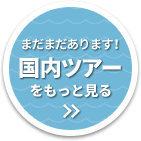 まだまだあります！国内ツアーをもっと見る