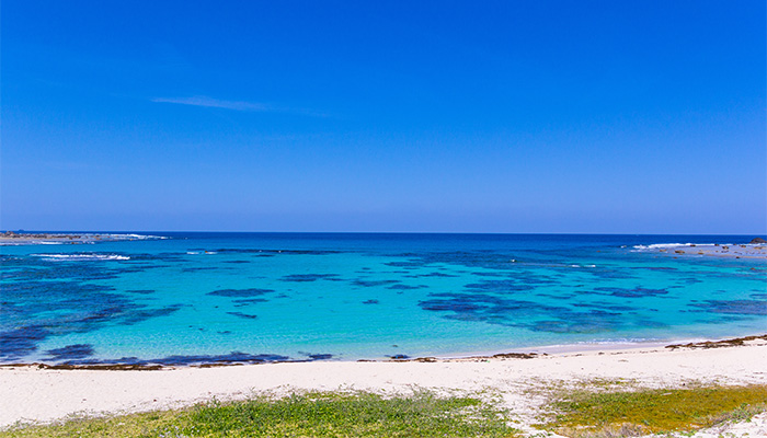 土盛海岸（イメージ） 