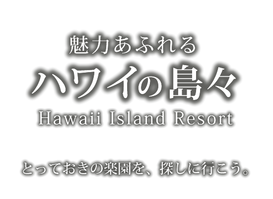 His 新千歳発 ハワイ旅行 離島 ハワイ島 マウイ島ツアー 格安海外ツアー