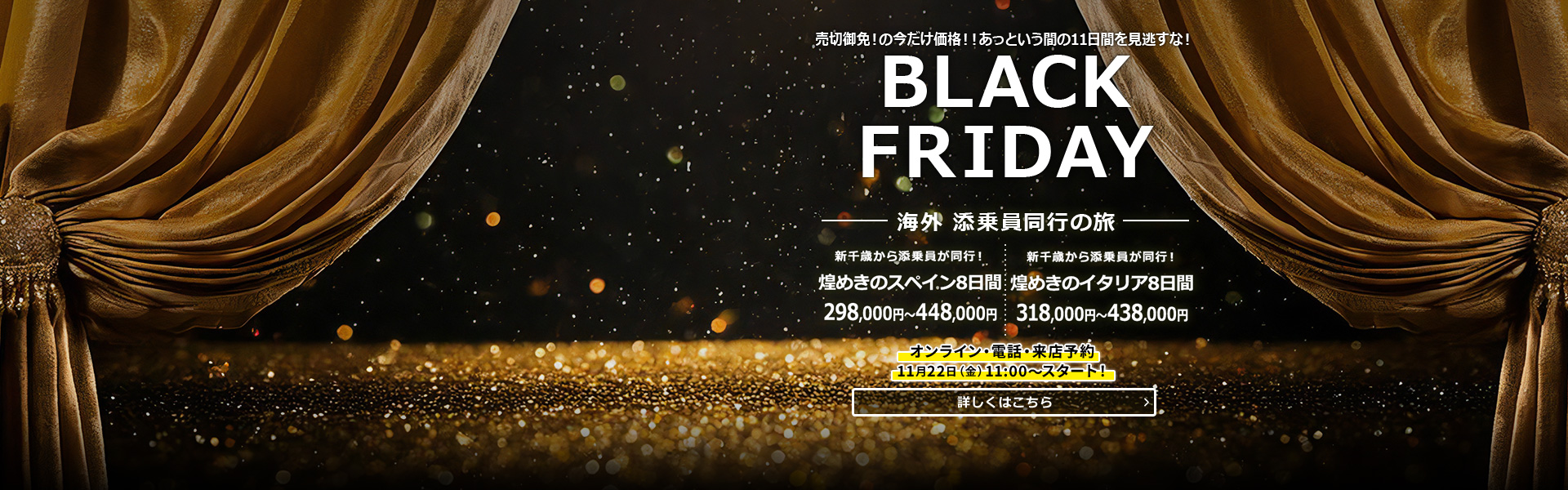 BLACK FRIDAY 添乗員同行の旅