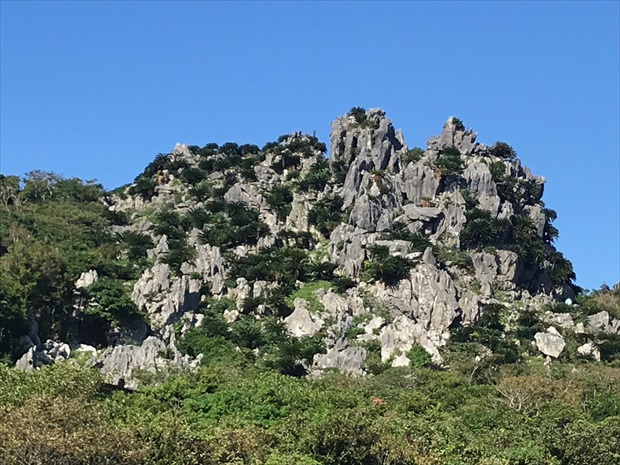 大石（だいせき）林山（本島最北部）