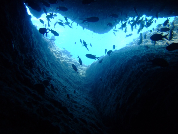 恩納村の真栄田（まえだ）岬の「青の洞窟」©沖縄観光コンベンションビューロー
