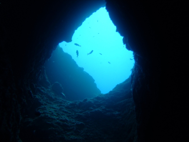 青白く輝く幻想的な「青の洞窟」の光©沖縄観光コンベンションビューロー