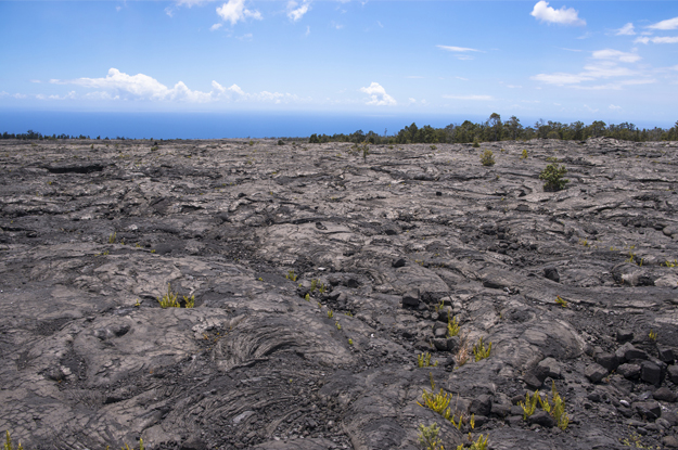 ハワイの溶岩地帯
