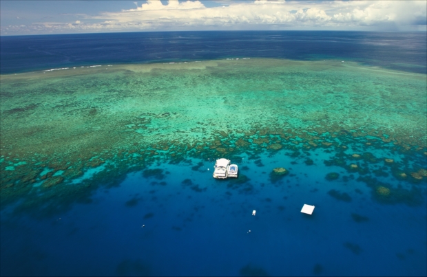 緑の宝石とよばれるグリーン島の絶景