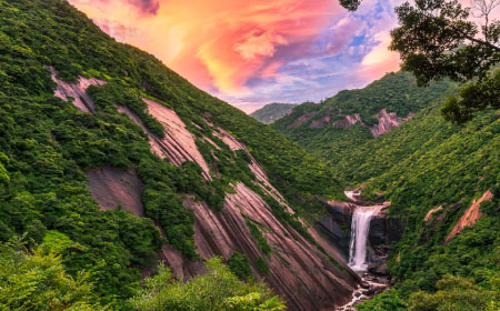 Yakushima