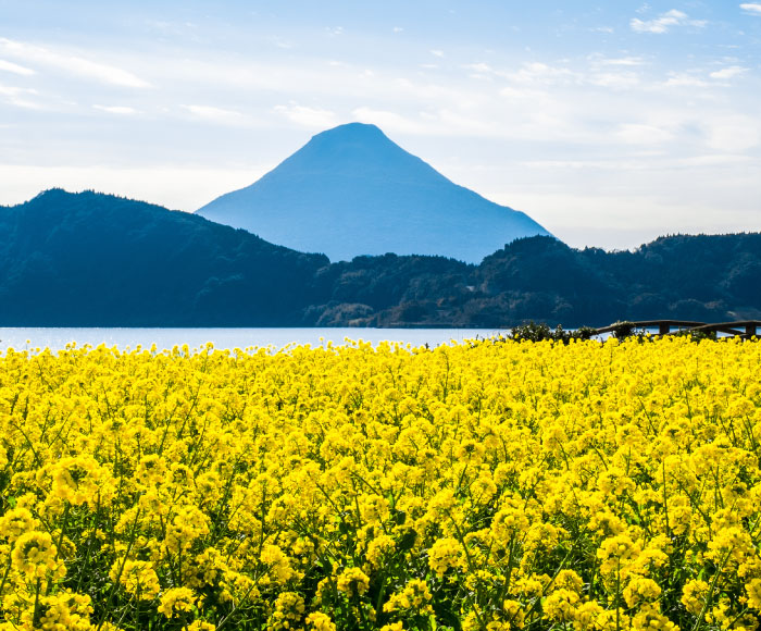 開聞岳