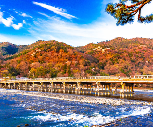 Autumn Leave from Kyoto