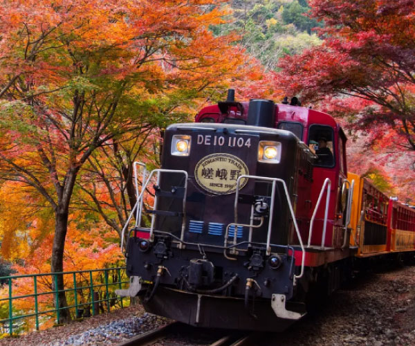 Autumn Leave from Kyoto