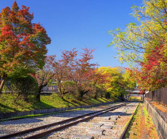 Keage Incline Autumn Leave from Kyoto