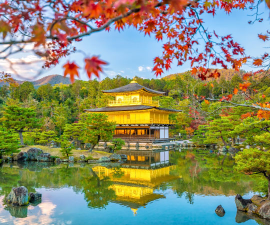 kinkakuji Temple Autumn Leave from Kyoto