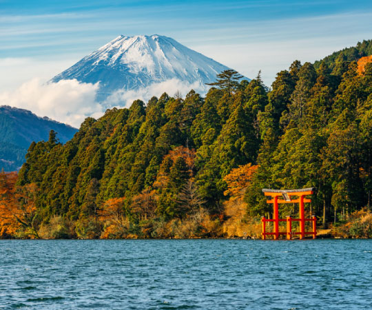 Mt.Fuji-Hakone Cruise