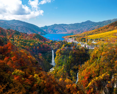 Nikko World Heritage 1 Day Tour