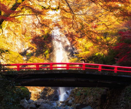 Minoh Falls:Autumn Leave from Osaka