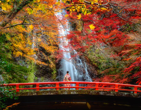 Experience the Magic of Autumn: Minoh Falls, Autumn Leaves, and Iconic Temples