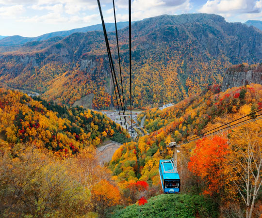 Kurodake Ropeway:Autumn Leave from Hokkaido