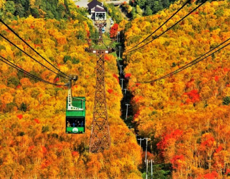 Kurodake Ropeway, Asahiyama Zoo, Blue Pond, Autumn Leaves Bus Tour