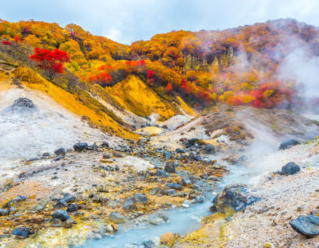 Enjoy Nara Autumn Leaves and Sushi Making Experience Bus Tour