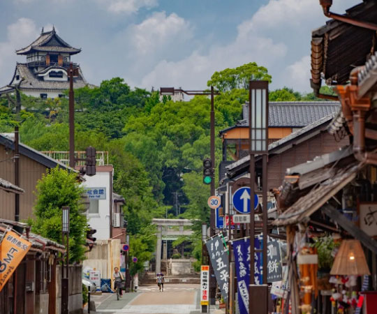 Inuyama Castle Autumn Leave from Nagoya