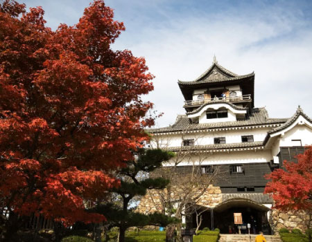 1Day Inuyama Walking Tour with Autumn Leave View