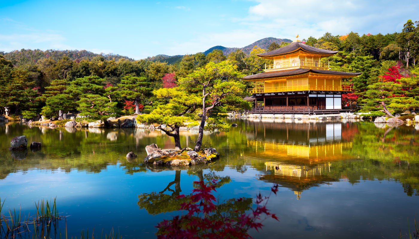 Kyoto and Nara Golden Route 1 Day Bus Tour