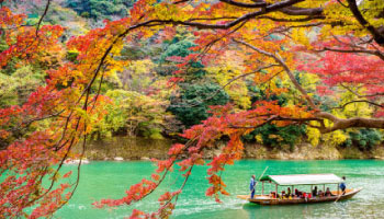 Recommend Autumn Leaves Tours