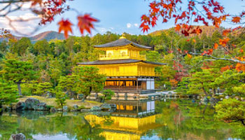 Discover Autumn from Kyoto