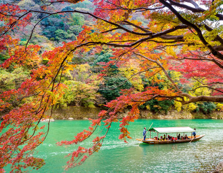 Sagano Romantic Train For Autumn in Arashiyama Half Day Tour