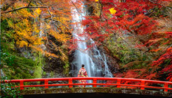 Discover Autumn from Osaka