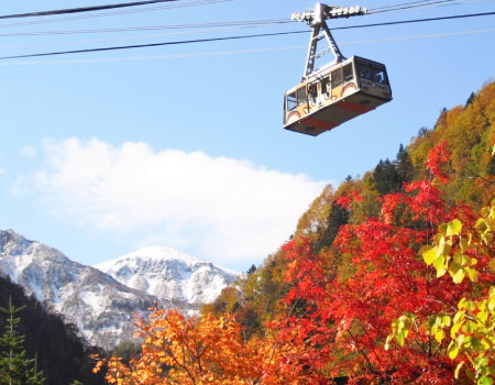 Kurodake Ropeway, Asahiyama Zoo Autumn Leaves Bus Tour