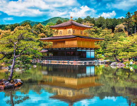 Kyoto and Nara Golden Route 1 Day Bus Tour