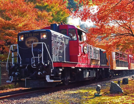 Kyoto Sagano Romantic Train in Arashiyama Bus Tour