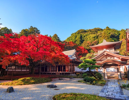 Raizan Sennyōji Daibōin Temple