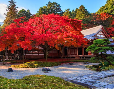 KA Journey to Raizan and Takeo MIfuneyama Rakuen day tour