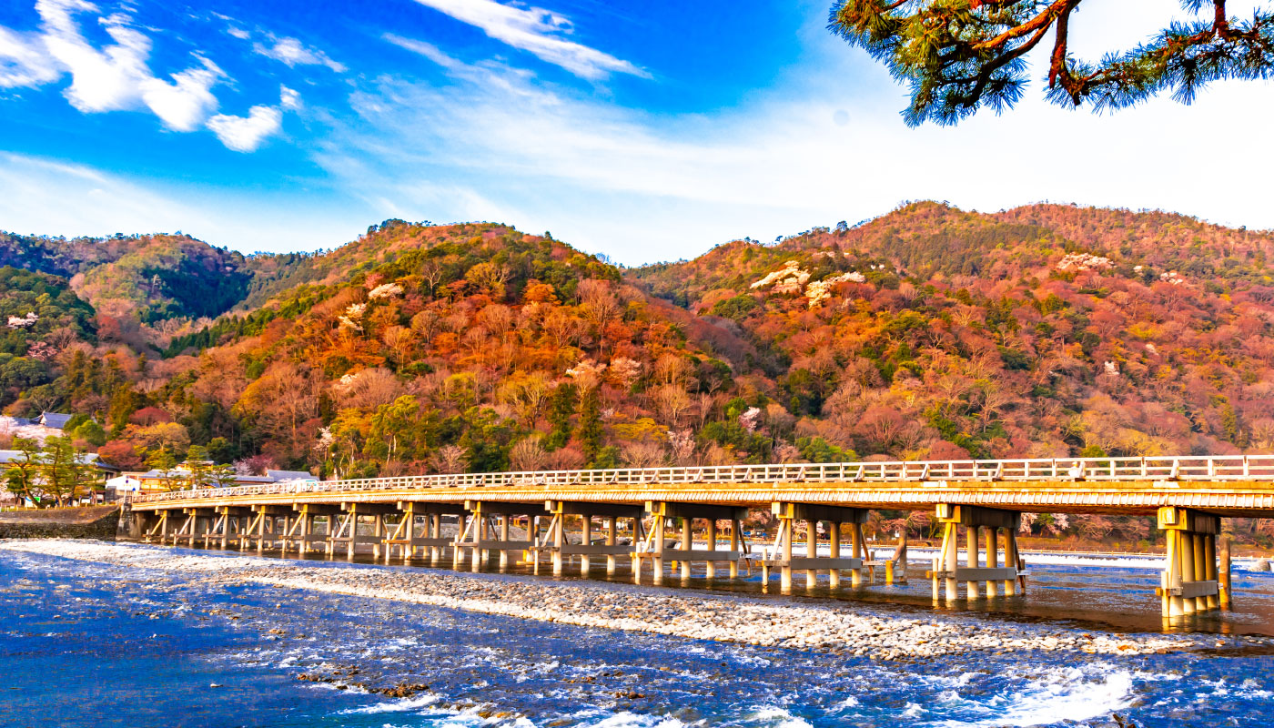 KKyoto and Nara Golden Route 1 Day Bus Tour