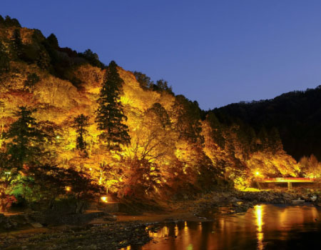 Korankei Autumn-leaves illumination View 1Day BusTour