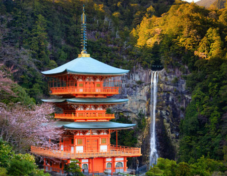 World Heritage Kumano Kodo Highlights 2Days Tour