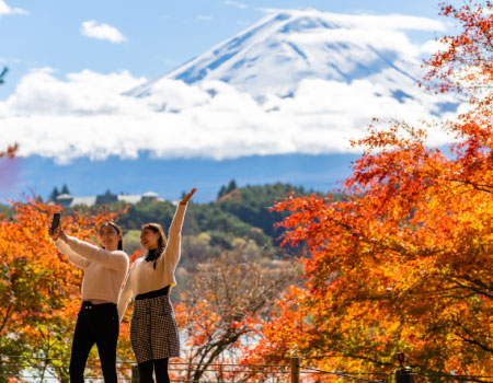 Mt. Fuji & Hakone Day Tour 