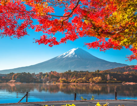 Mt. Fuji, Oishi Park & Seasonal Fruits Picking