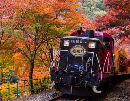 Nikko Autumn Foliage & Edo Wonderland