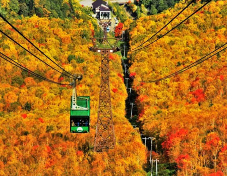 Kurodake Ropeway, Asahiyama Zoo Autumn Leaves Bus Tour